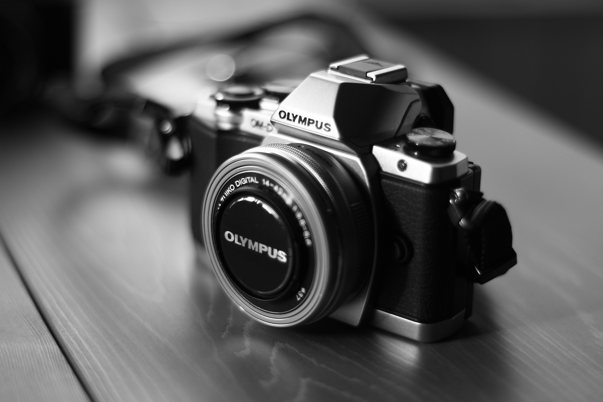 Olympus dslr